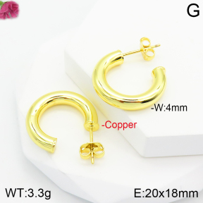 Fashion Copper Earrings  F2E200320vbnb-J111