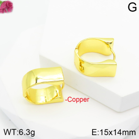 Fashion Copper Earrings  F2E200322vbnb-J111