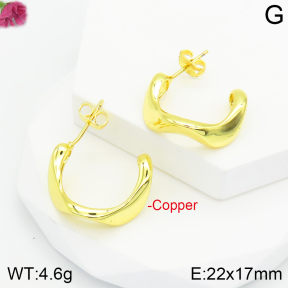 Fashion Copper Earrings  F2E200324vbnb-J111