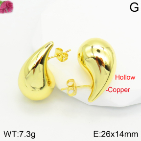 Fashion Copper Earrings  F2E200326vbnb-J111