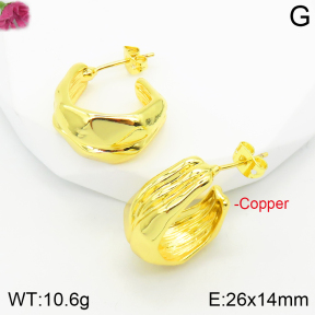 Fashion Copper Earrings  F2E200327vbnb-J111