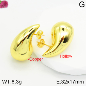 Fashion Copper Earrings  F2E200334vbnb-J111