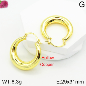 Fashion Copper Earrings  F2E200338vbnb-J111