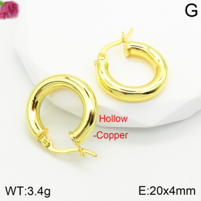 Fashion Copper Earrings  F2E200340vbnb-J111