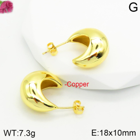 Fashion Copper Earrings  F2E200341vbnb-J111