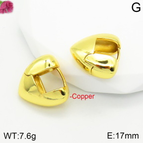 Fashion Copper Earrings  F2E200342vbnb-J111