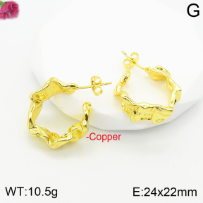 Fashion Copper Earrings  F2E200343vbnb-J111