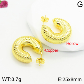 Fashion Copper Earrings  F2E200344vbnb-J111