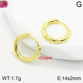 Fashion Copper Earrings  F2E200348vbmb-J111