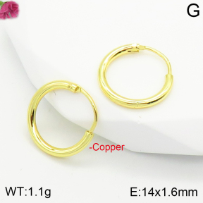 Fashion Copper Earrings  F2E200353vbmb-J111