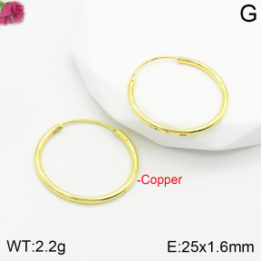 Fashion Copper Earrings  F2E200354vbmb-J111