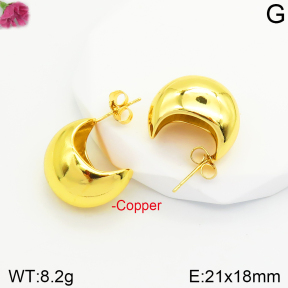 Fashion Copper Earrings  F2E200356bbml-J131
