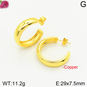 Fashion Copper Earrings  F2E200357vbnb-J131