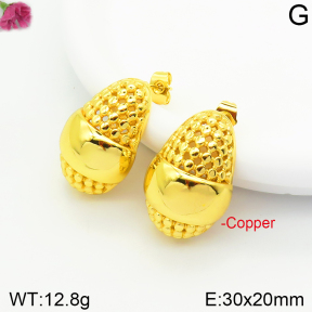 Fashion Copper Earrings  F2E200363vbnl-J131