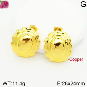 Fashion Copper Earrings  F2E200364vbnb-J131