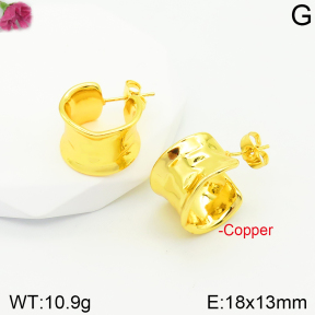Fashion Copper Earrings  F2E200366vbnb-J131