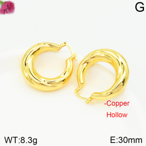 Fashion Copper Earrings  F2E200367vbpb-J131