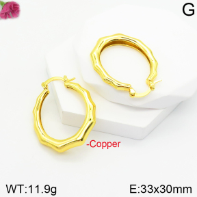 Fashion Copper Earrings  F2E200368vbnb-J131