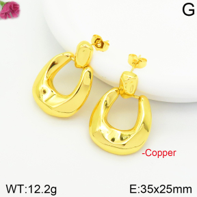 Fashion Copper Earrings  F2E200369vbnl-J131
