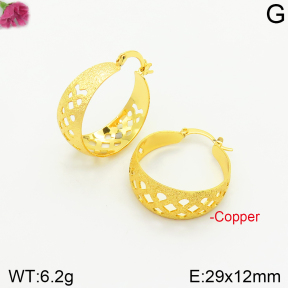 Fashion Copper Earrings  F2E200370aakl-J131