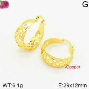 Fashion Copper Earrings  F2E200371aakl-J131