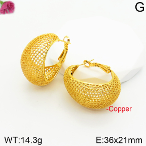 Fashion Copper Earrings  F2E200376bhva-J131