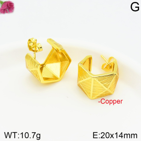 Fashion Copper Earrings  F2E200380vbnb-J131