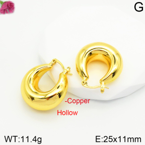 Fashion Copper Earrings  F2E200381vbpb-J131