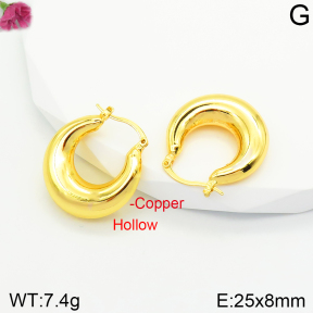 Fashion Copper Earrings  F2E200383vbpb-J131