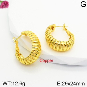 Fashion Copper Earrings  F2E200384bbov-J131