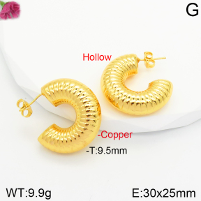 Fashion Copper Earrings  F2E200389vbpb-J131