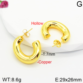 Fashion Copper Earrings  F2E200398vbpb-J131