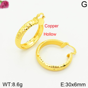 Fashion Copper Earrings  F2E200404bbml-J131