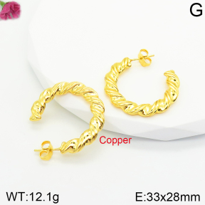 Fashion Copper Earrings  F2E200408vbnb-J131