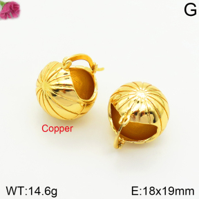 Fashion Copper Earrings  F2E200415vbnb-J131