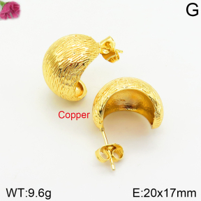 Fashion Copper Earrings  F2E200416vbnb-J131