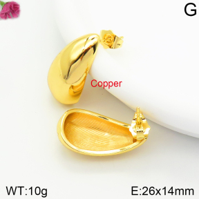 Fashion Copper Earrings  F2E200420bbml-J131