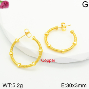 Fashion Copper Earrings  F2E200424bbov-J131