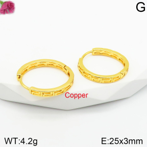 Fashion Copper Earrings  F2E200425bbmo-J131
