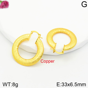 Fashion Copper Earrings  F2E200429bbml-J131