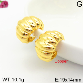 Fashion Copper Earrings  F2E200432vbnb-J131