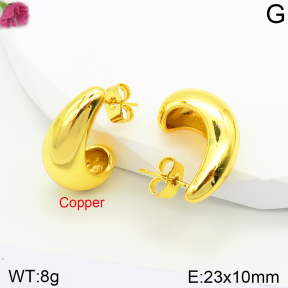 Fashion Copper Earrings  F2E200433bbml-J131