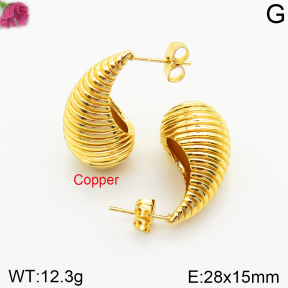 Fashion Copper Earrings  F2E200434vbnb-J131