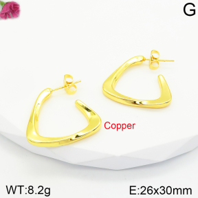 Fashion Copper Earrings  F2E200435vbnb-J131
