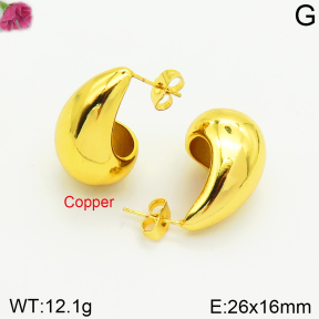Fashion Copper Earrings  F2E200445bbml-J131