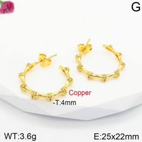 Fashion Copper Earrings  F2E401062abol-J131