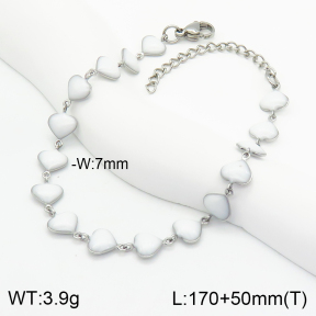 Stainless Steel Bracelet  2B3001930aajl-368