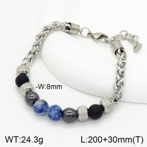 Stainless Steel Bracelet  2B4002754bhva-741