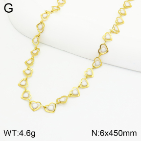 Stainless Steel Necklace  2N3001341vbpb-368