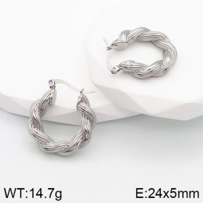 Stainless Steel Earrings  5E2003134bbov-259